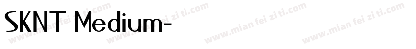 SKNT Medium字体转换